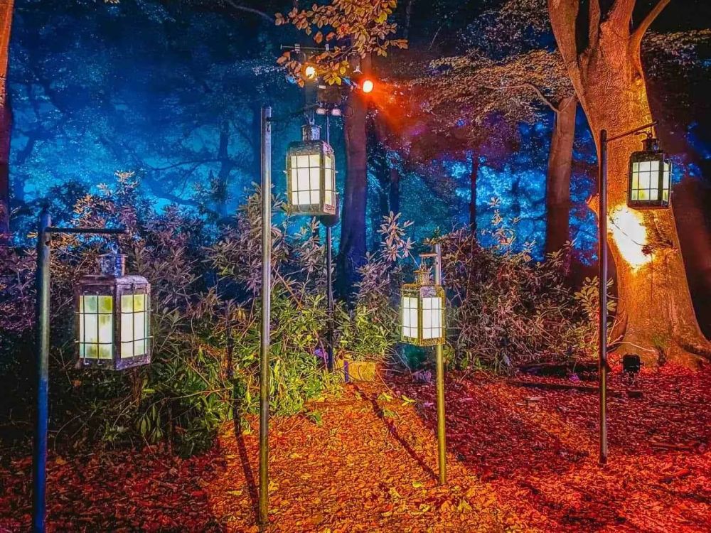 Trải nghiệm cho người hâm mộ Harry Potter ở Anh 7