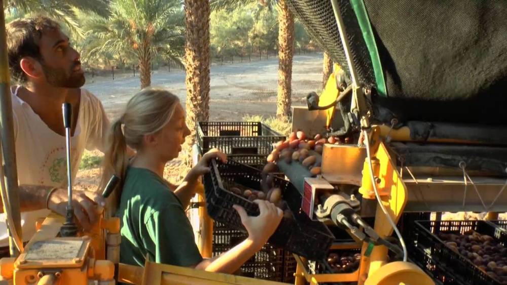 Trải nghiệm mô hình du lịch nông nghiệp độc đáo của Israel 8