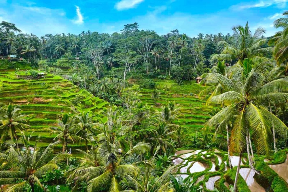 Trải nghiệm những điều mới lạ tuyệt vời ở Bali Indonesia ảnh 9
