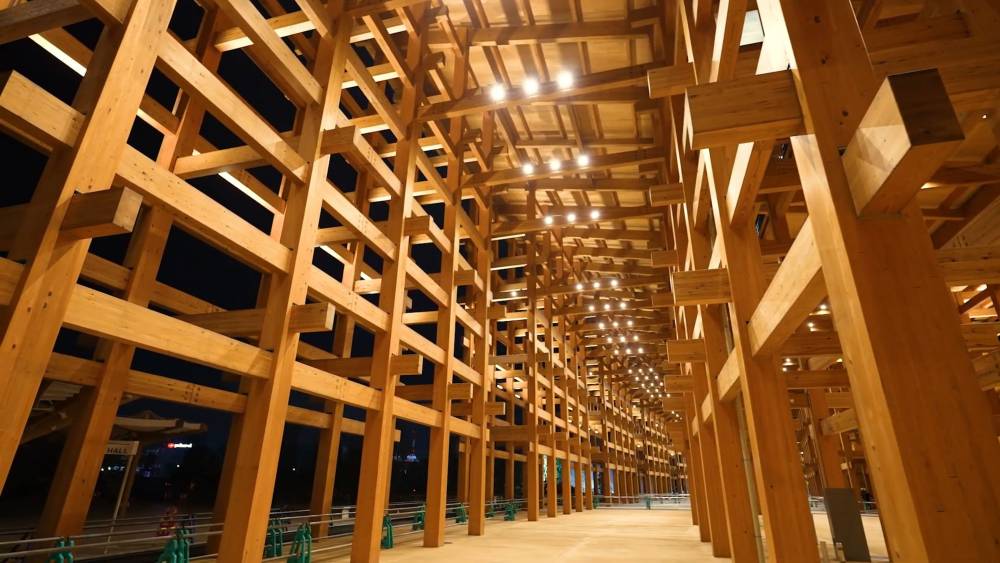 Triển lãm Thế giới Expo 2025 chính thức khai mạc tại Osaka, Kansai ảnh 6