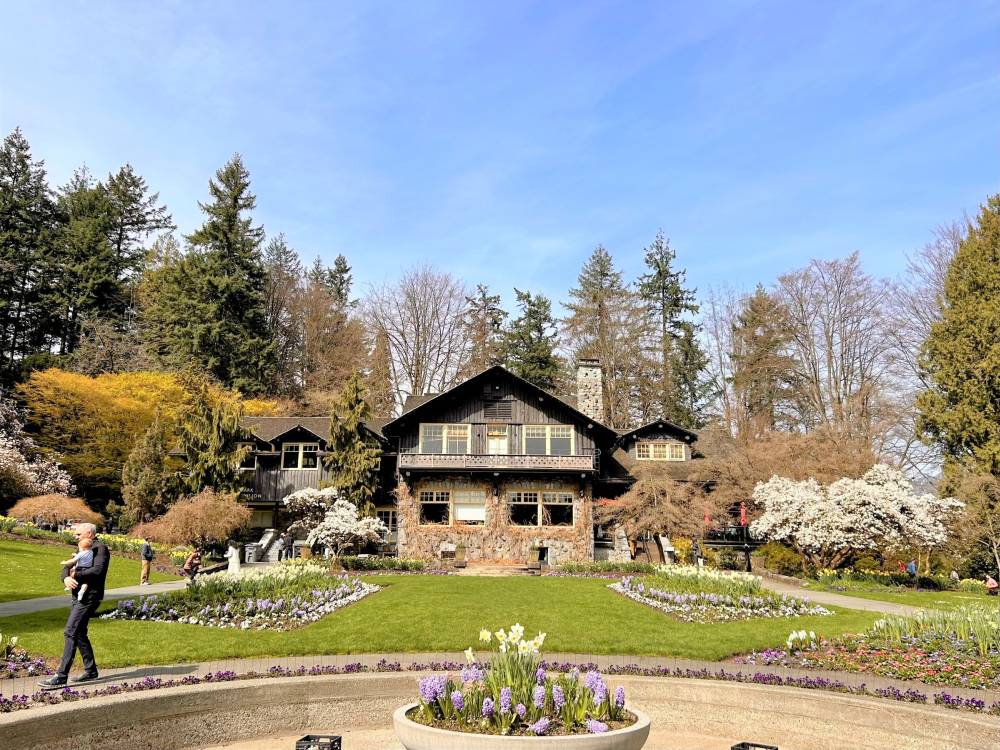 Vancouver bừng sáng sắc hoa anh đào nở ảnh 3