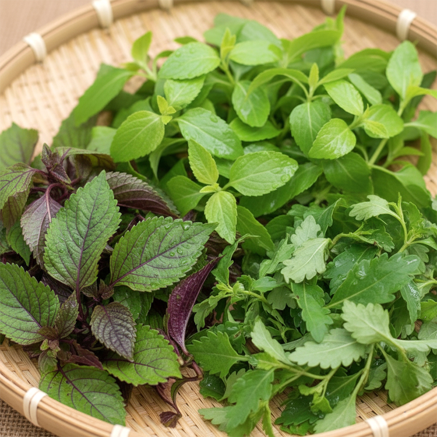 Các loại lá tắm thảo dược trị rôm sảy, mẩn ngứa như Kinh Giới, Tía Tô, Sài Đất