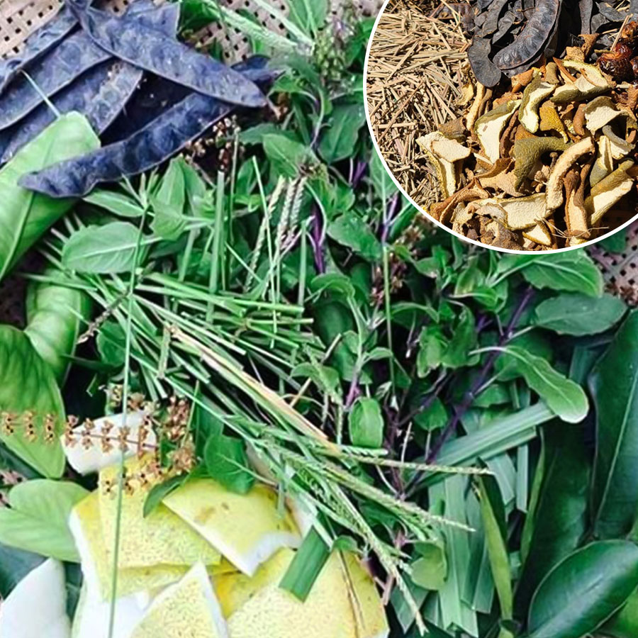 Các loại thảo dược Việt Nam như Hương Nhu, Vỏ Bưởi, Sả, Cỏ Mần Trầu kết hợp cùng Bồ Kết để chăm sóc tóc