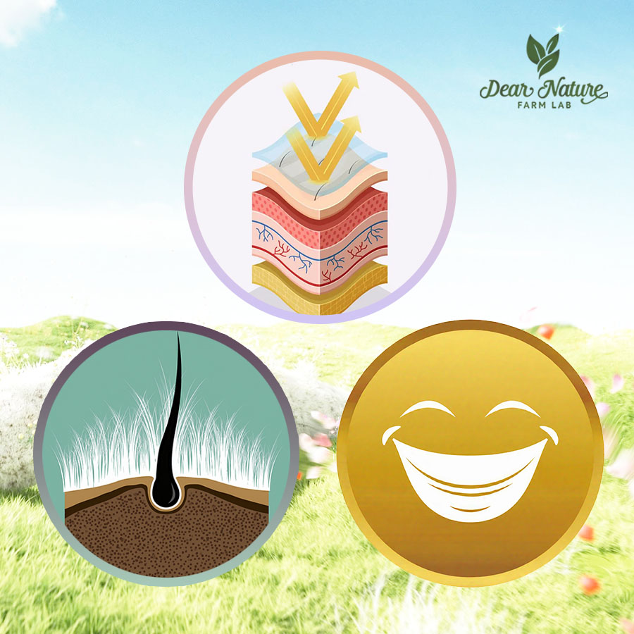 Chu kỳ tái tạo của da, tóc và sức khỏe răng miệng