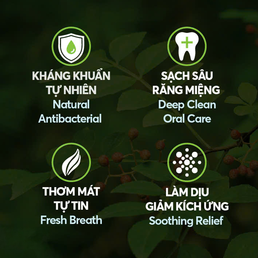 Phân tích khoa học về công dụng kháng khuẩn, kháng viêm của cây Ưng Bất Bạc