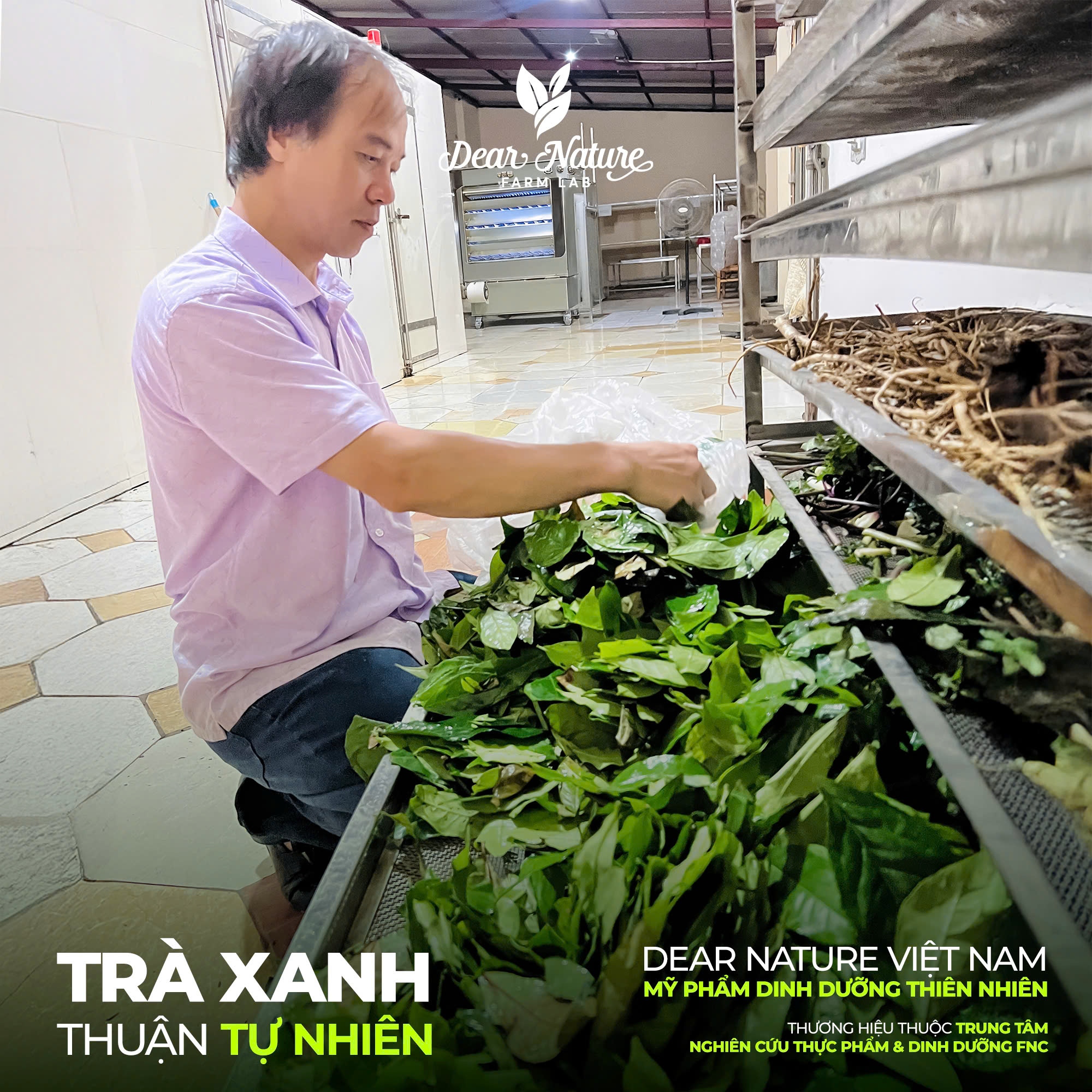 Công nghệ sấy lạnh hiện đại giúp bảo toàn dưỡng chất trong lá chè xanh Dear Nature