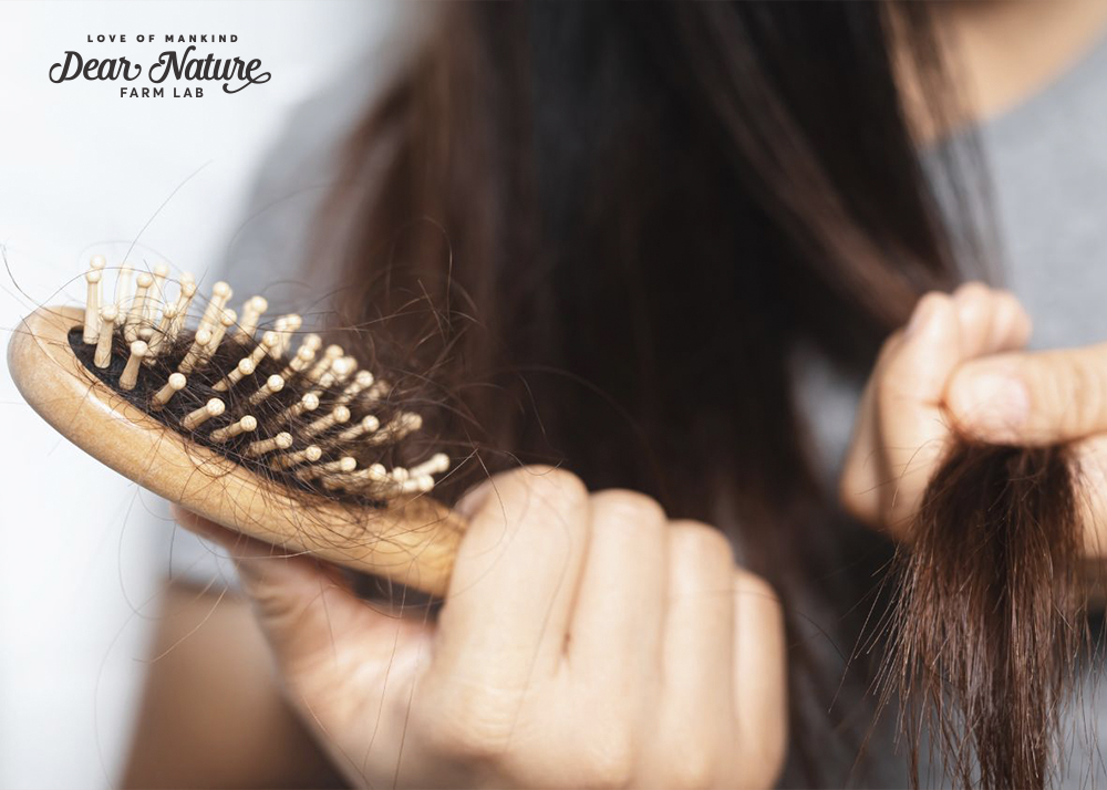 Tinh dầu hương thảo Dear Nature kích thích mọc tóc trả về mái tóc chắc khỏe và bóng mượt, ngăn ngừa gàu và rụng tóc,