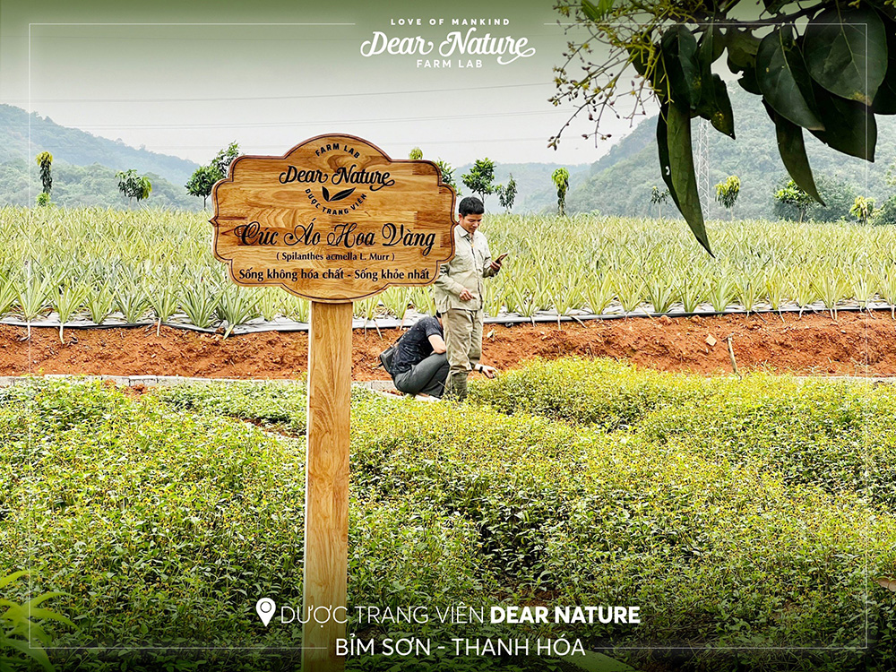 Dược Trang Viên áp dụng phương pháp trồng trọt thuận tự nhiên, bảo vệ môi trường và đảm bảo chất lượng thảo dược.