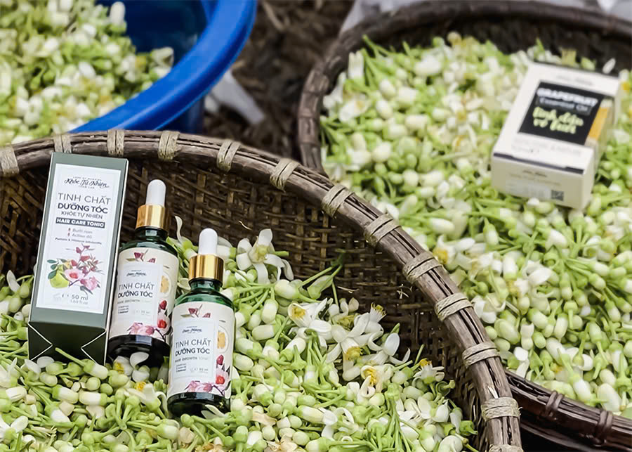 Dược Trang Viên Dear Nature canh tác dược liệu thuận tự nhiên, tôn trọng đất mẹ