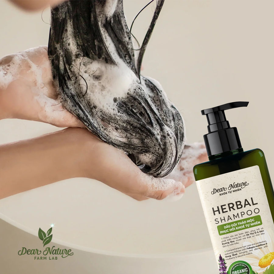 Giai đoạn chuyển tiếp khi dùng dầu gội thảo dược thiên nhiên