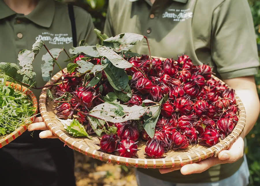 Những hành động nhỏ góp phần bảo vệ môi trường nhân Ngày Trái Đất