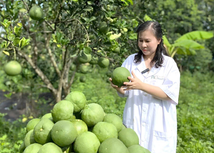 Kết nối với thiên nhiên giúp tìm lại sự bình yên trong tâm hồn