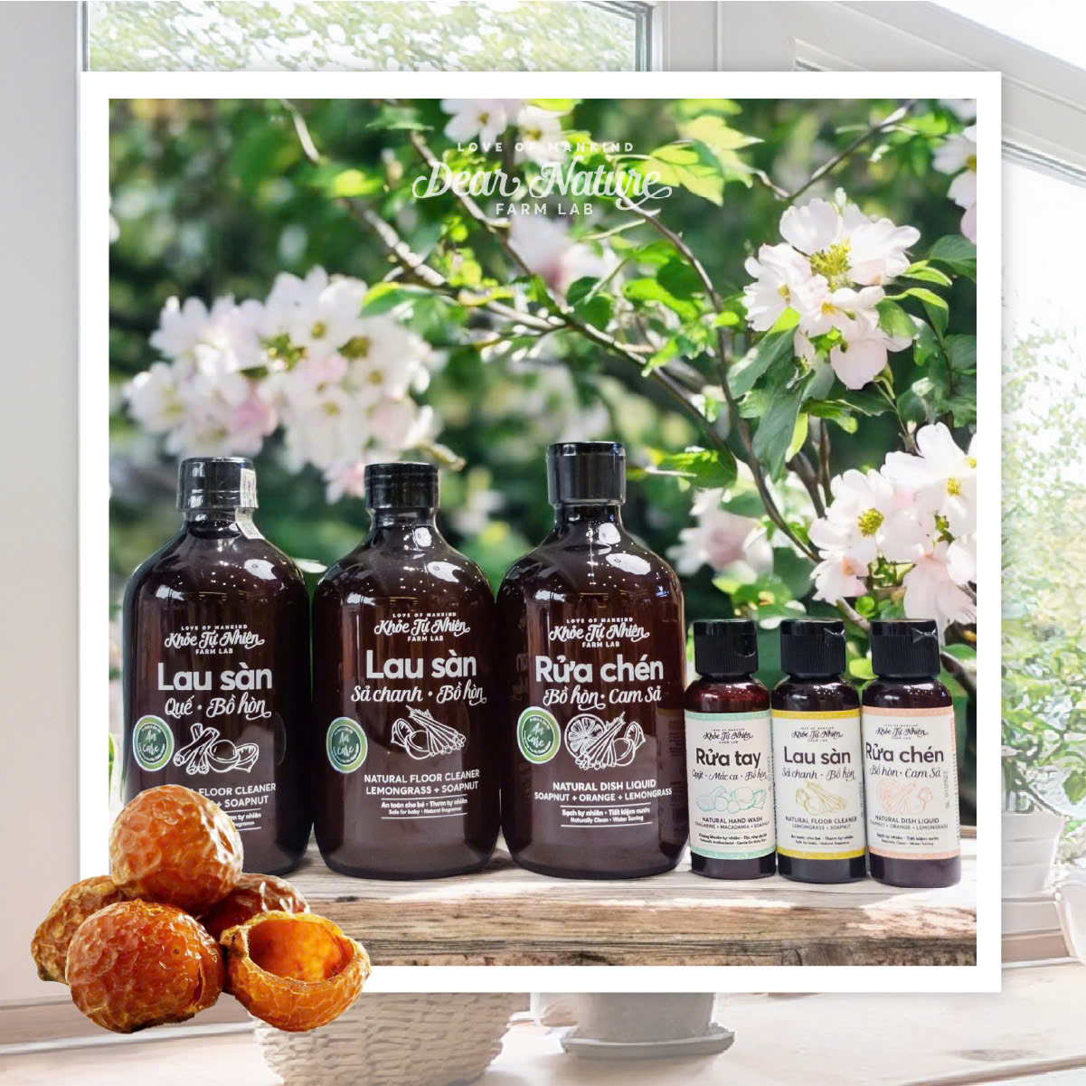 Sử dụng nước rửa chén bồ hòn An Care Dear Nature an toàn cho da tay