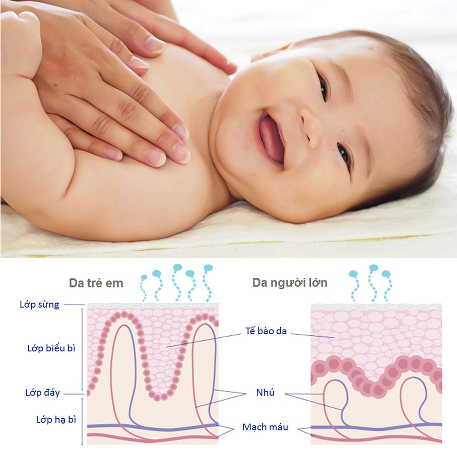Đặc điểm làn da mỏng manh, nhạy cảm của trẻ sơ sinh và trẻ nhỏ"