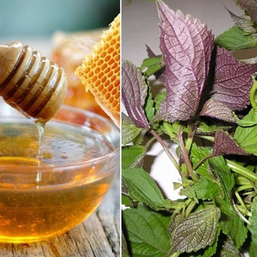 Mặt nạ lá tía tô mật ong cung cấp độ ẩm sâu cho da mềm mịn