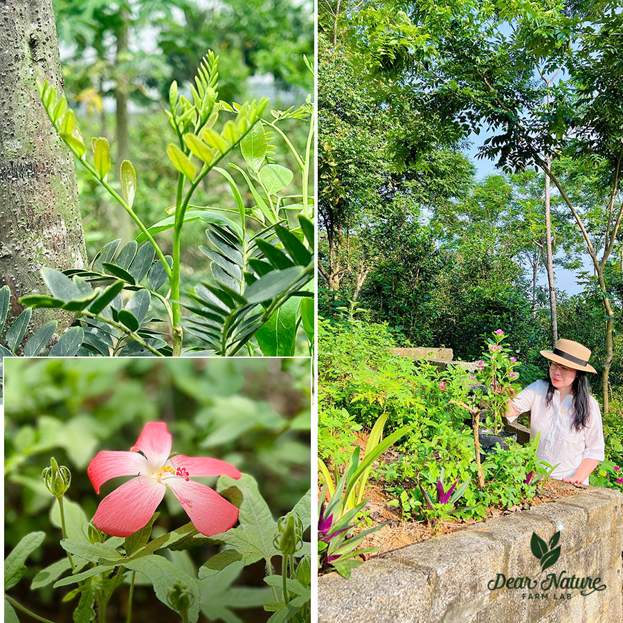 Sự minh bạch về nguồn gốc nguyên liệu là tiêu chí chọn thương hiệu uy tín