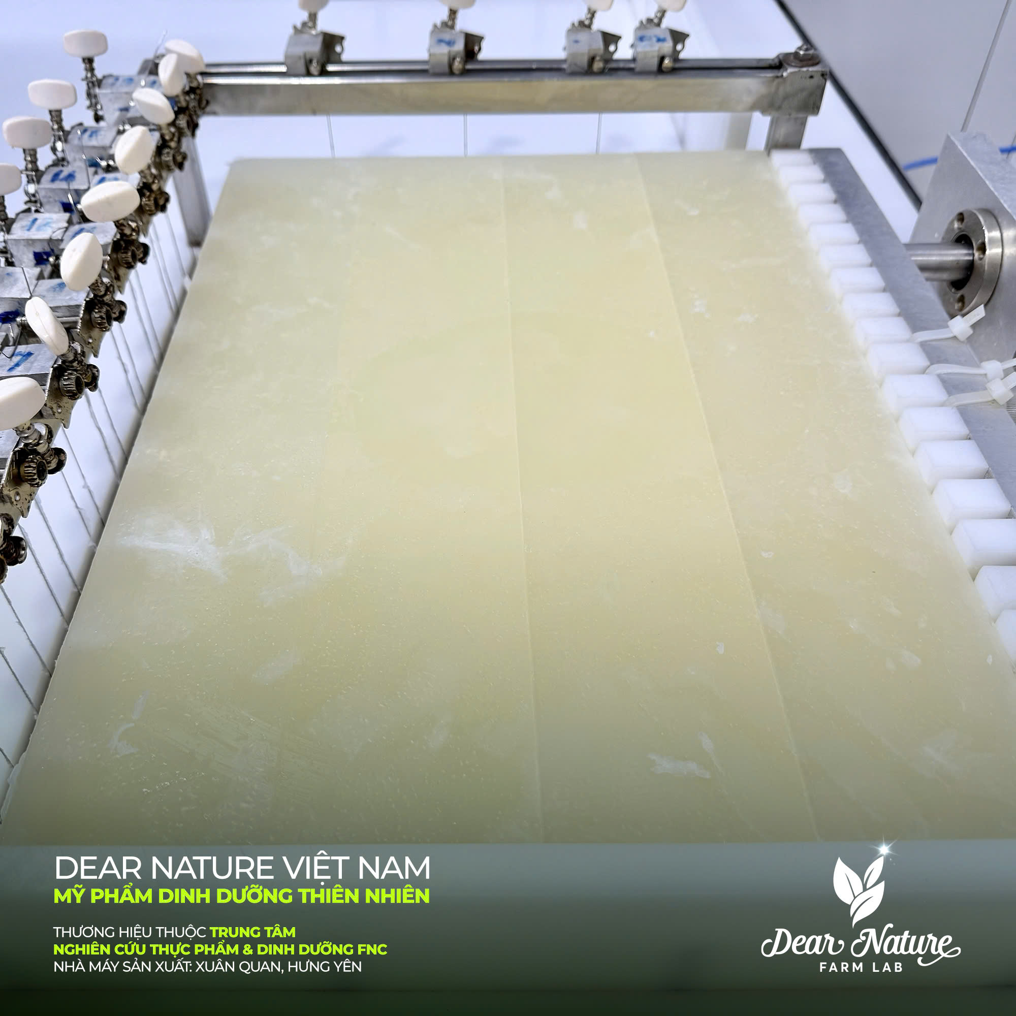 Nhà máy sản xuất mỹ phẩm thiên nhiên Dear Nature hiện đại, đạt chuẩn