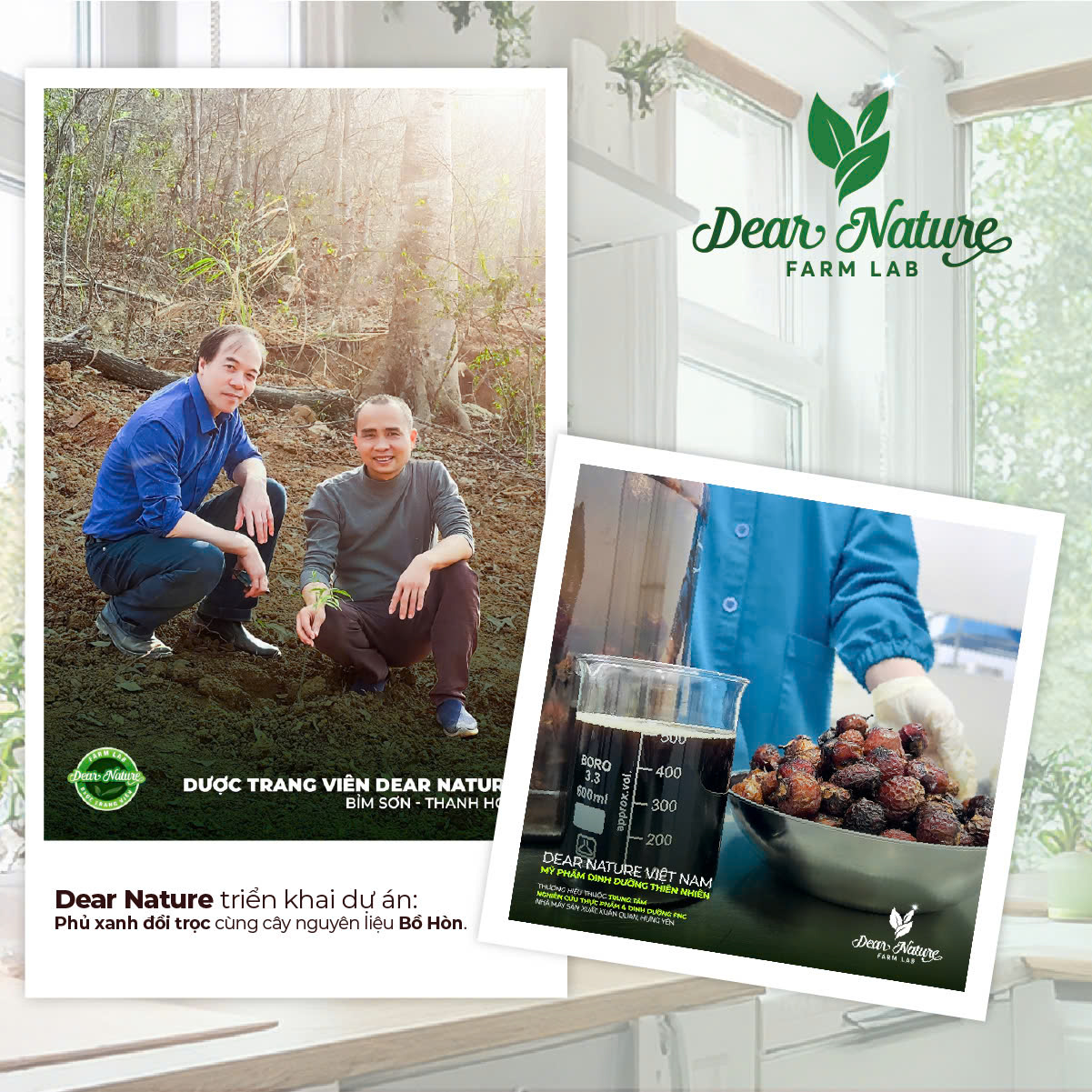 Quả bồ hòn - nguyên liệu làm sạch tự nhiên trong An Care Dear Nature