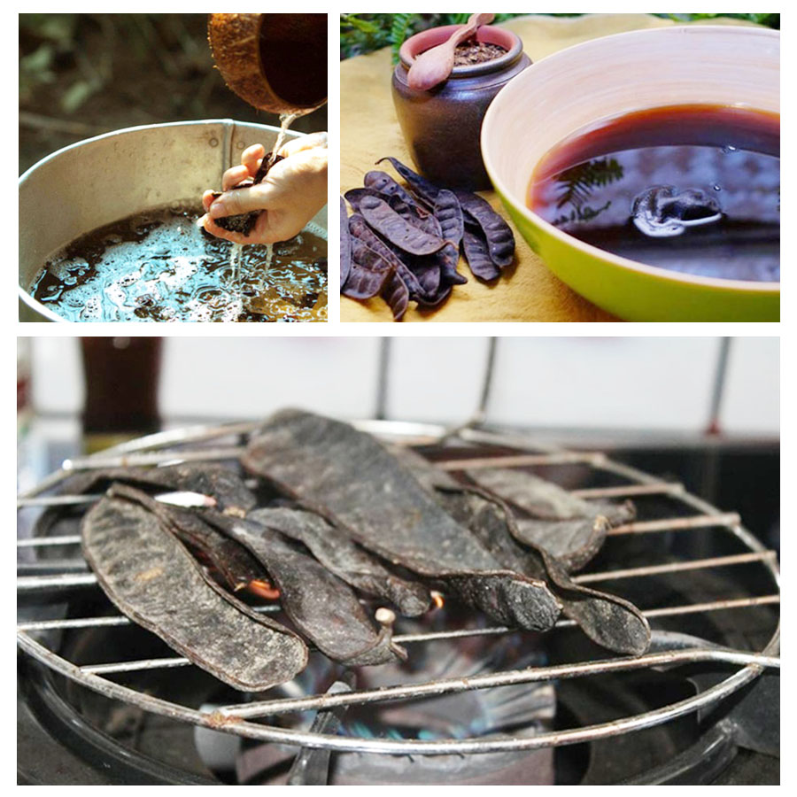 Quả bồ kết nướng - thành phần chính trong dầu gội thảo dược truyền thống giúp tóc sạch khỏe