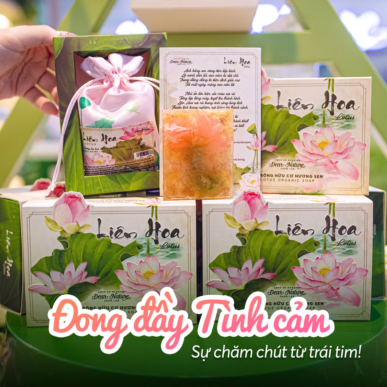 Các sản phẩm Dear Nature chứa chiết xuất Sen Bách diệp Tây Hồ an lành, tinh khiết