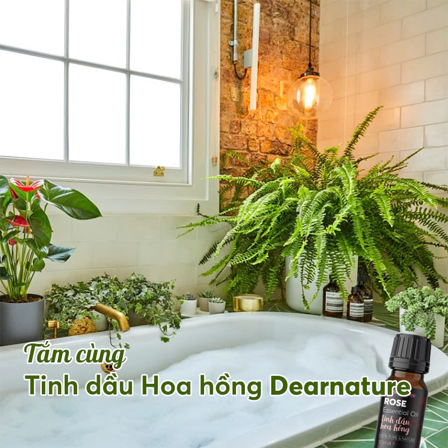 Tắm thư giãn với tinh dầu hoa hồng Dear Nature