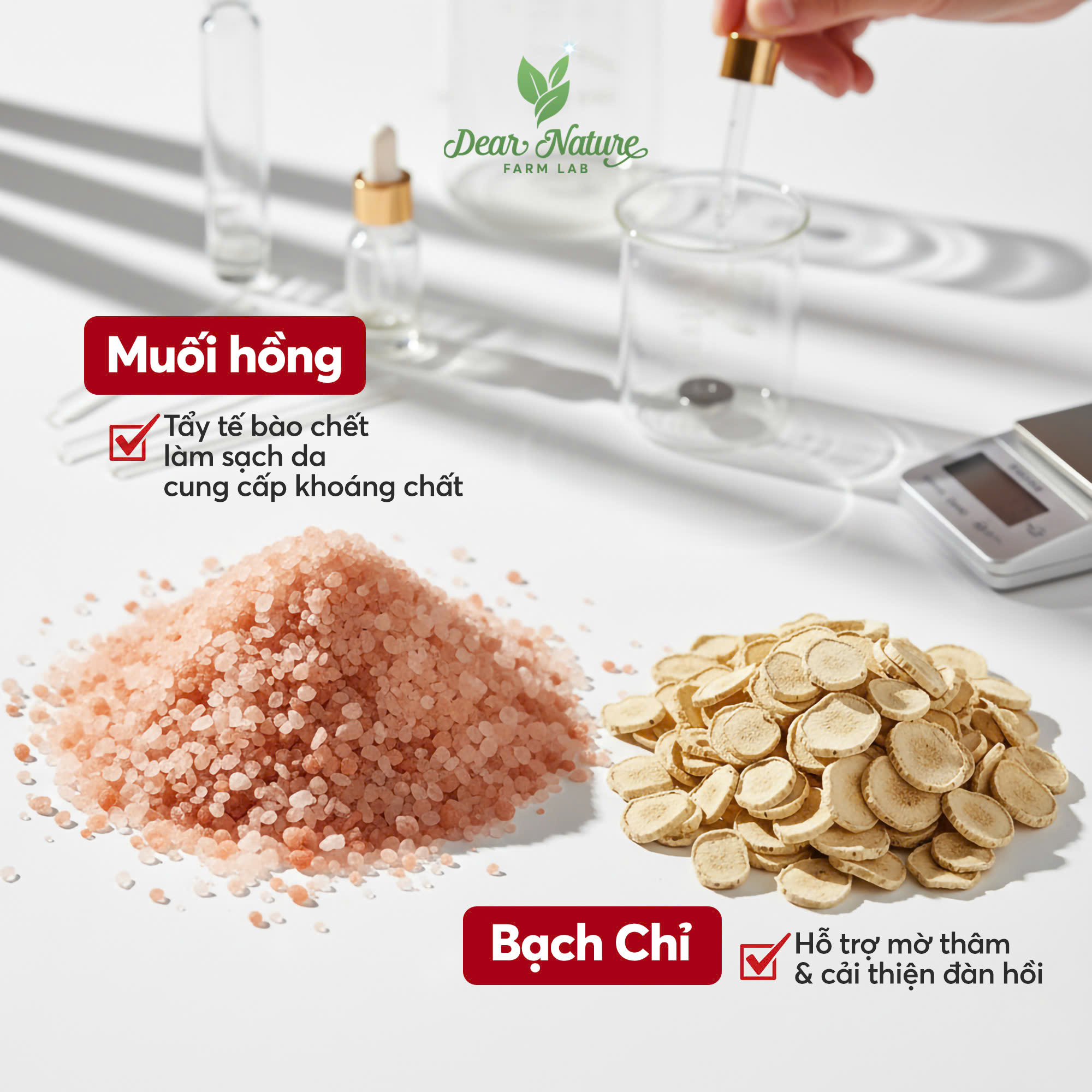 Thành phần thiên nhiên của muối tắm Dear Nature gồm muối hồng Himalaya, Bạch Chỉ, Hoa Hồng, bột vỏ trứng