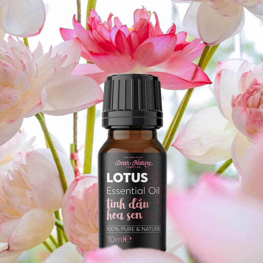Tinh dầu hoa sen nguyên chất Dear Nature giúp thư giãn tinh thần, giảm stress