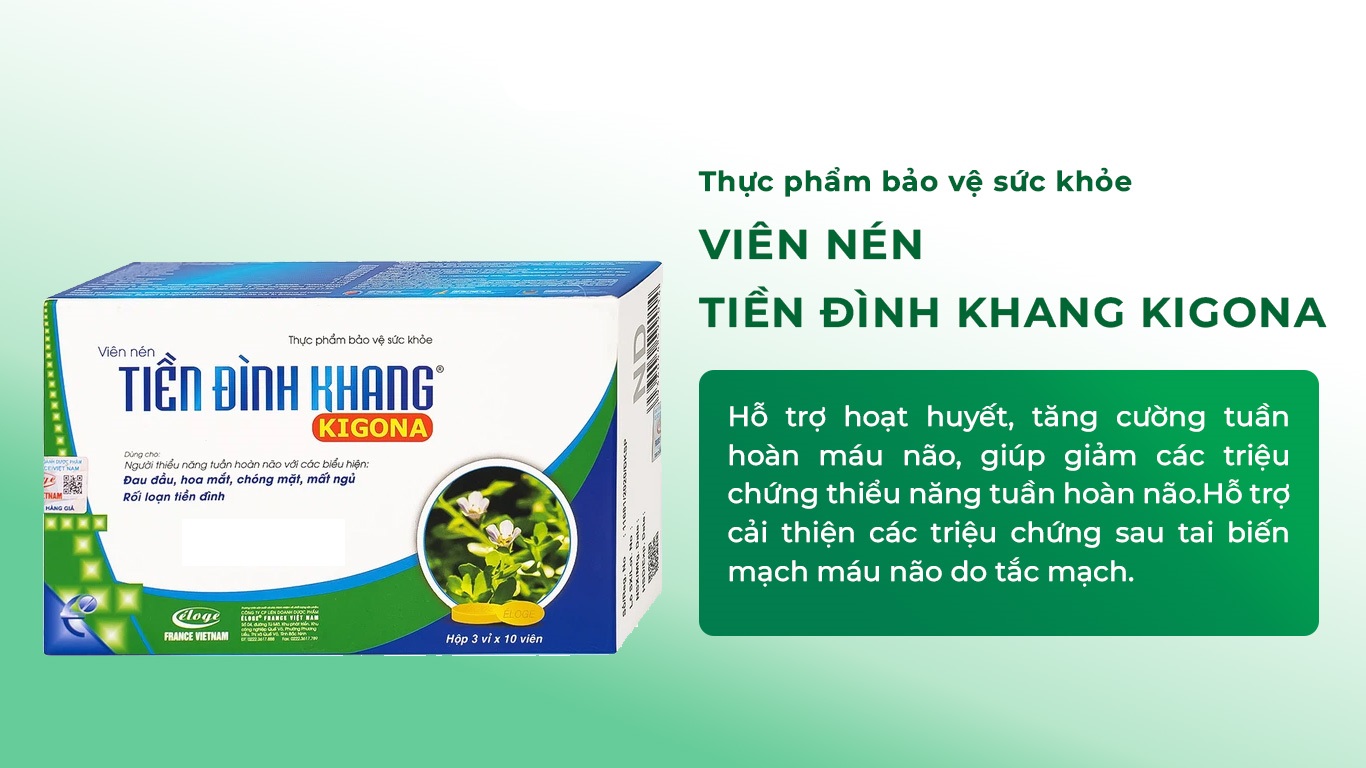 Kigona hỗ trợ hoạt huyết, tăng cường tuần hoàn máu não