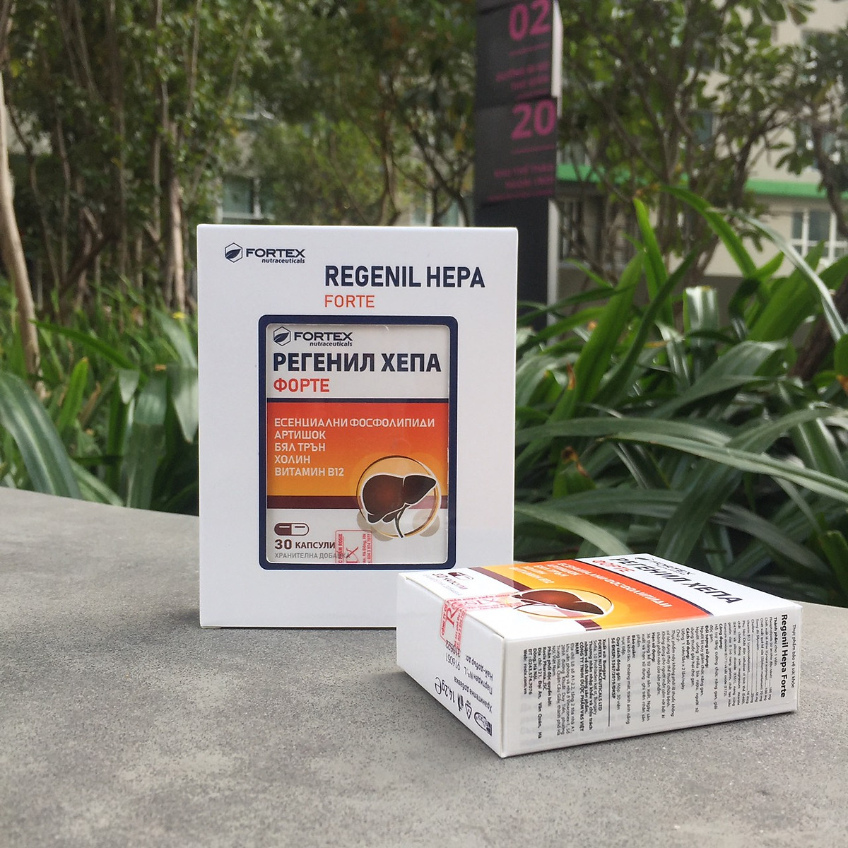 Những người nào nên dùng Thuốc Regenil Hepa Forte