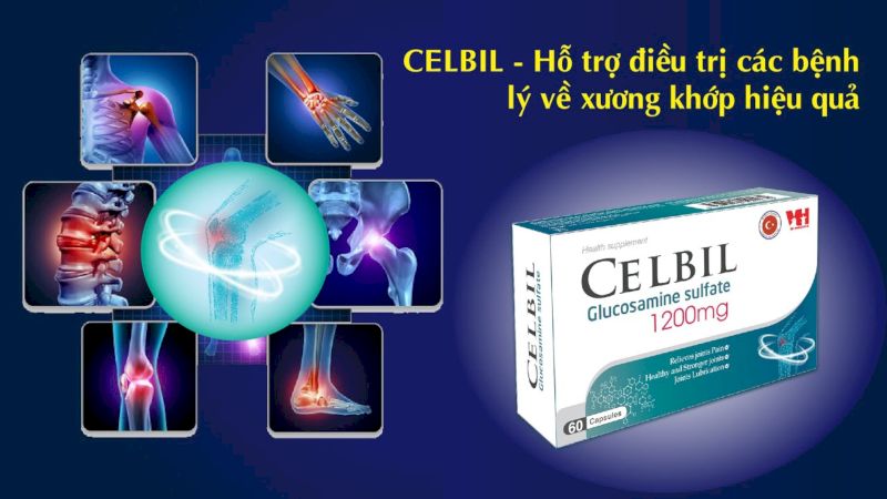 Viên uống xương khớp Celbil
