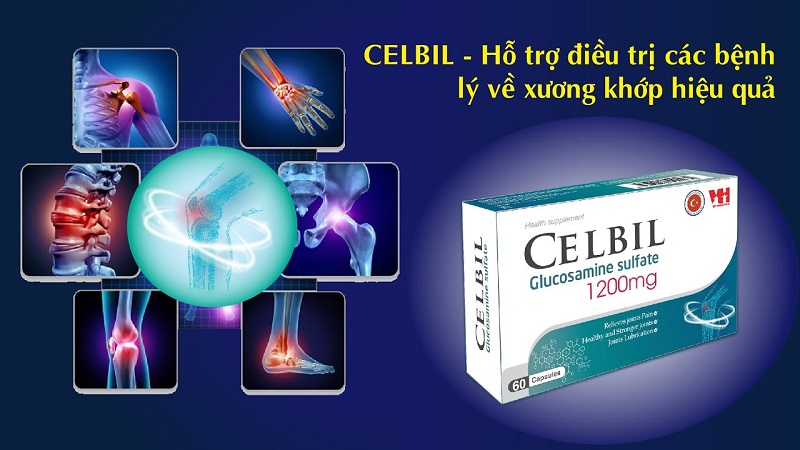 Thuốc CELBIL giúp giảm đau, tái tạo xương khớp hiệu quả