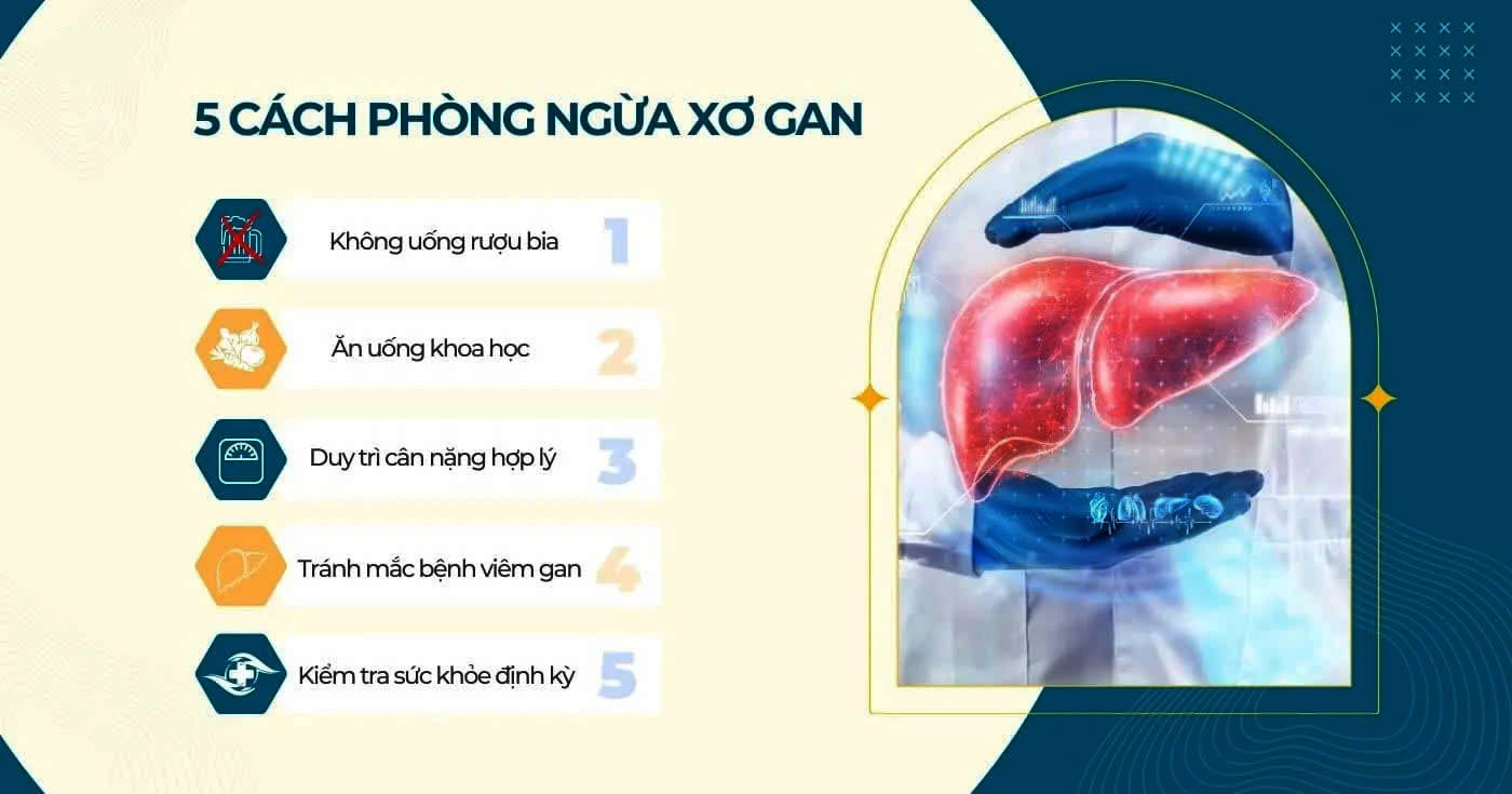 Xơ Gan Do Rượu