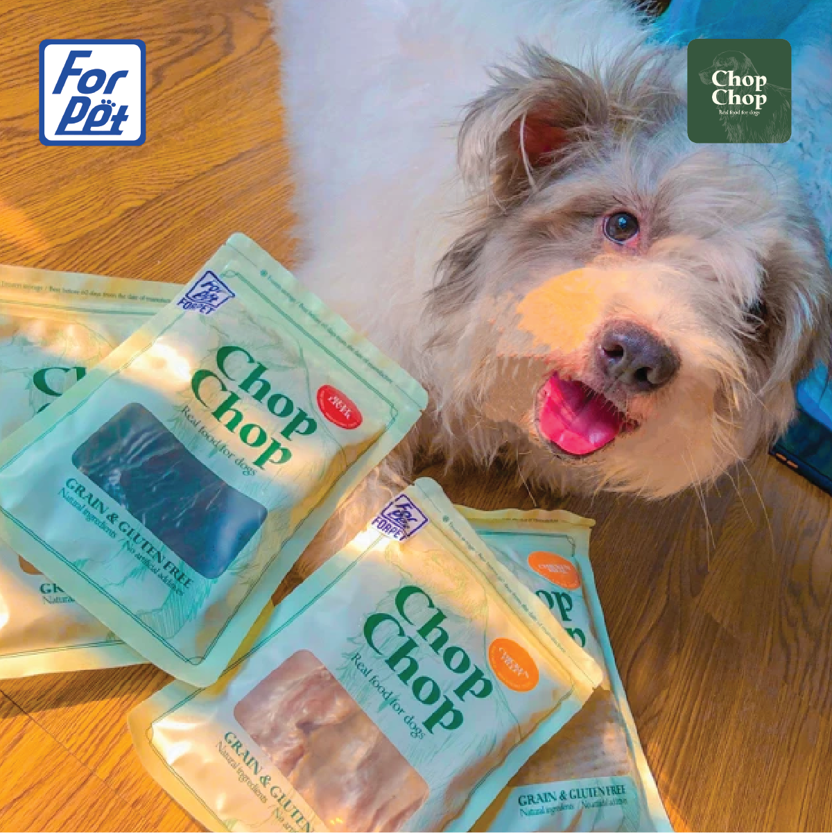 Chó ăn hạt nhiều có tốt không