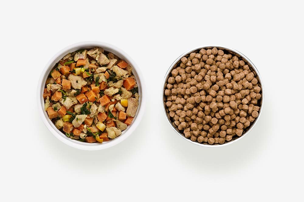 thức ăn hạt cho chó husky