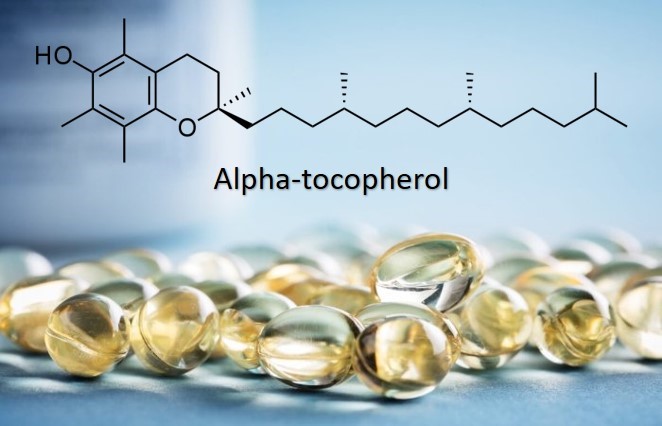 Hình ảnh bài viết