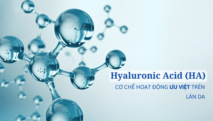 Hình ảnh bài viết