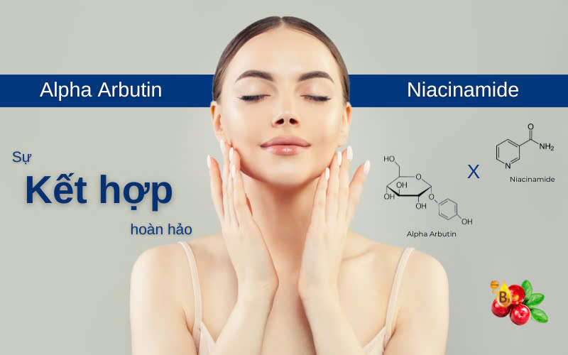 Hình ảnh bài viết