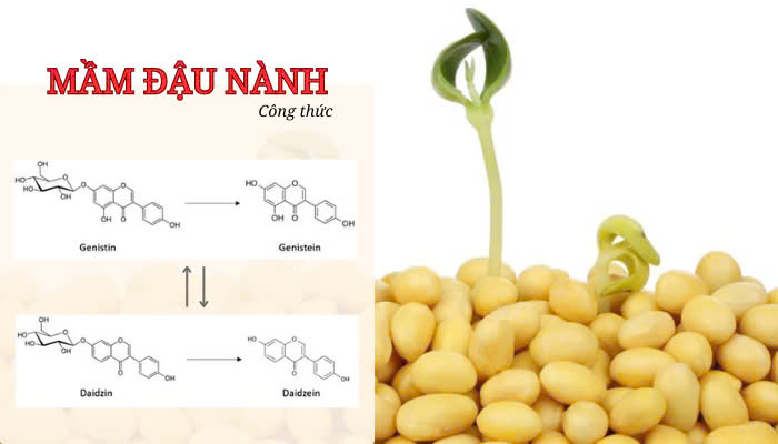 Hình ảnh bài viết