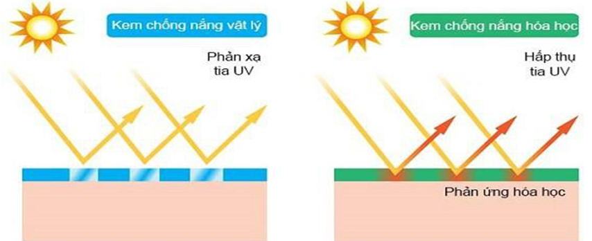 Hình ảnh bài viết