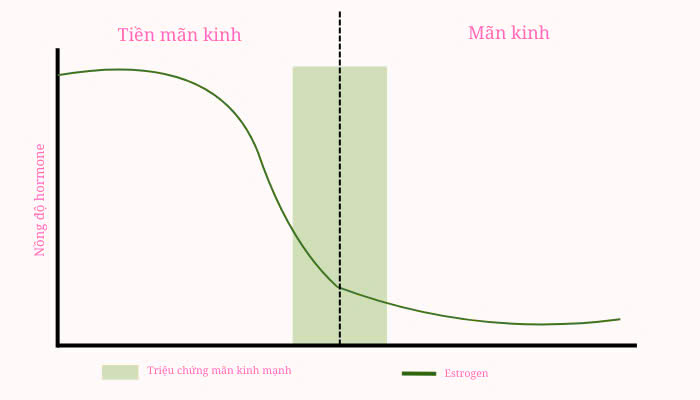 Hình ảnh bài viết