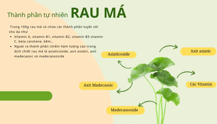 Hình ảnh bài viết