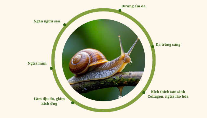 Hình ảnh bài viết