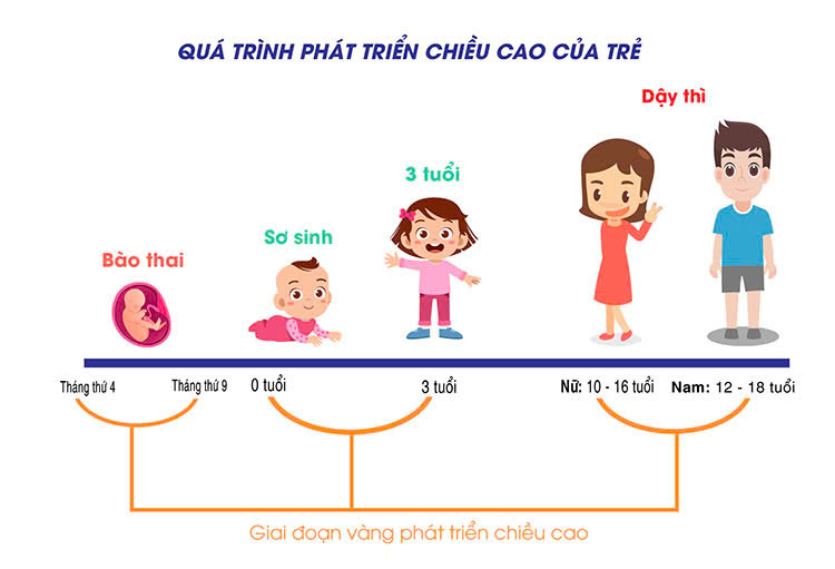 Hình ảnh bài viết