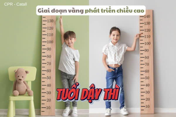 Hình ảnh bài viết