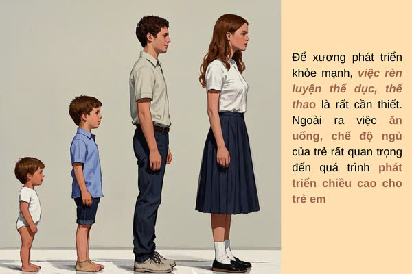 Hình ảnh bài viết