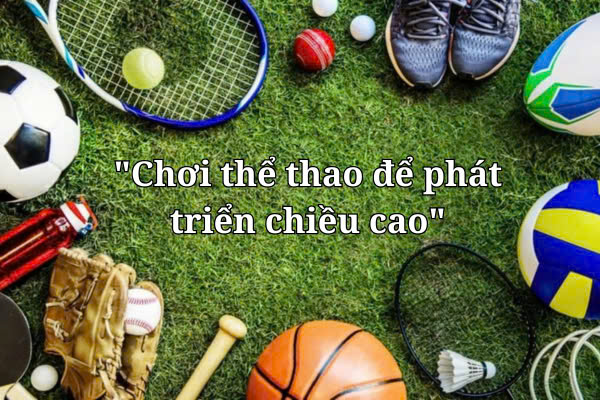 Hình ảnh bài viết