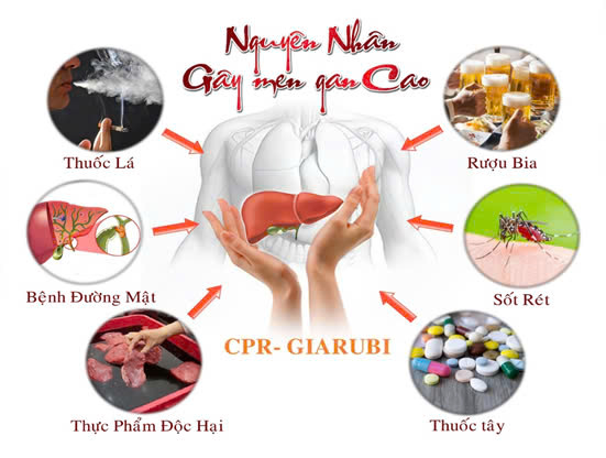 Hình ảnh bài viết