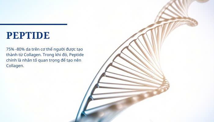 Hình ảnh bài viết