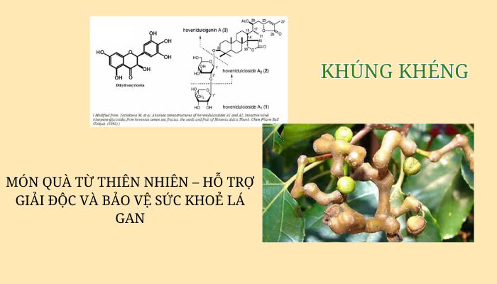 Hình ảnh bài viết