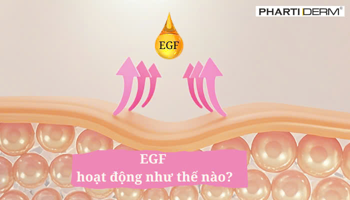 Hình ảnh bài viết